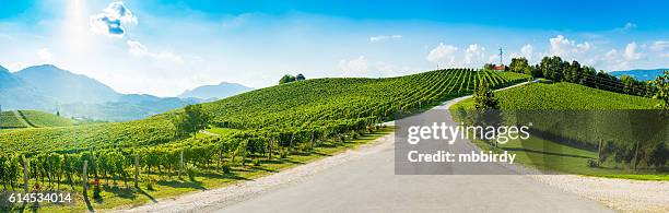 hills with vineyard - styrka stock pictures, royalty-free photos & images