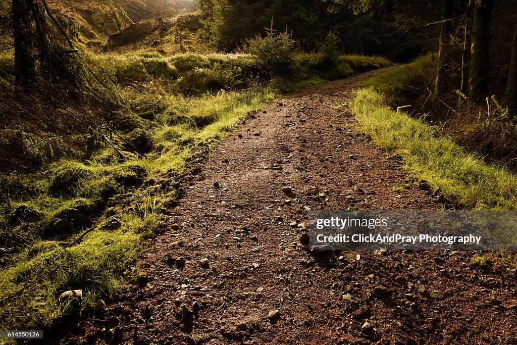 Rocky Road