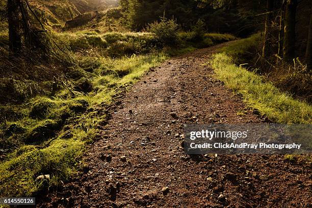 150 Rocky Road Path Stock Photos, High-Res Pictures, and Images - Getty ...