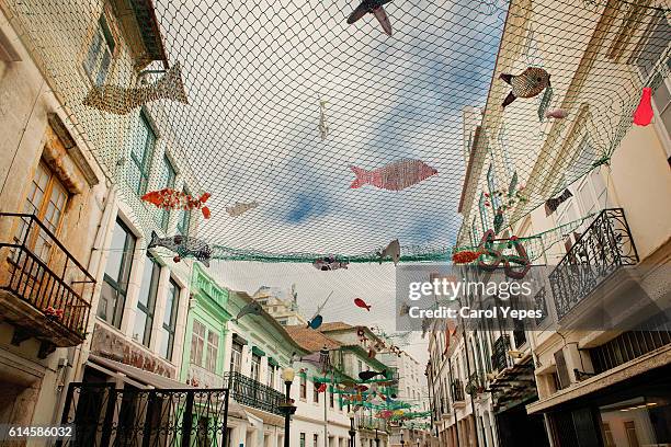 decorated street in aveiro,portugal - aveiro stock-fotos und bilder