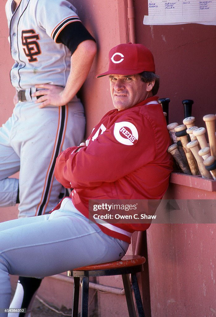 Red Roses Manager Pete Rose manager of the Cincinnati Reds circa 1989 manages against ...