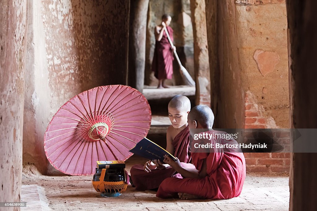 Monje budista novato leyendo un libro dentro del templo