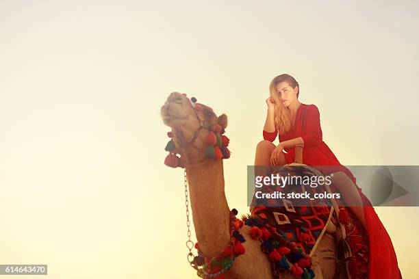 exotic camel ride - hot arabian women stock pictures, royalty-free photos & images