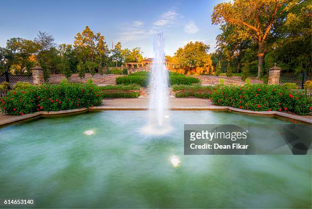 botanical garden on a clear morning - fort worth stock pictures, royalty-free photos & images