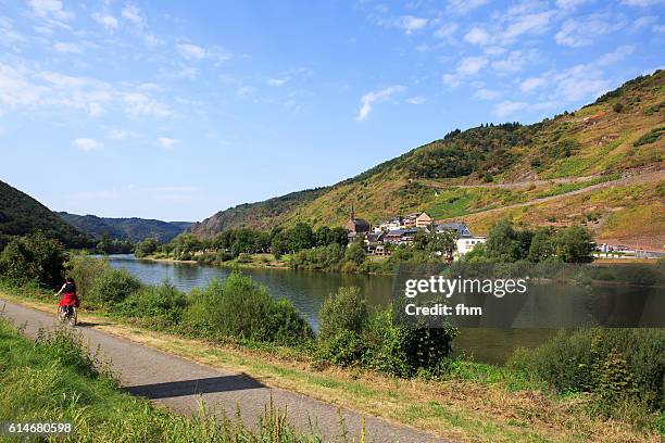 nice landscape with cyclist on bike path near moselle river/ rhineland-palatinate, germany - mosel valley stock pictures, royalty-free photos & images