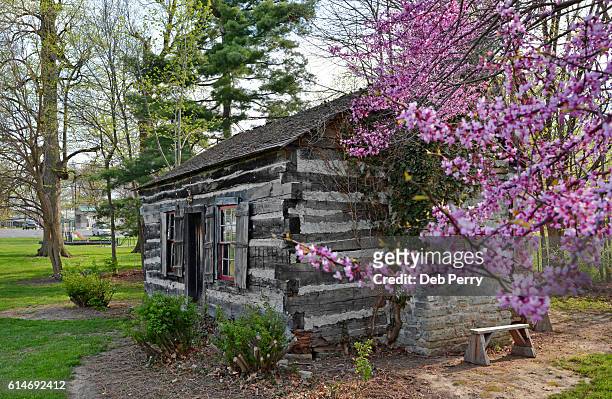 log cabin the the spring - indiana home stock pictures, royalty-free photos & images
