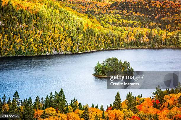 la mauricie nationalpark herbstfarben - quebec stock-fotos und bilder