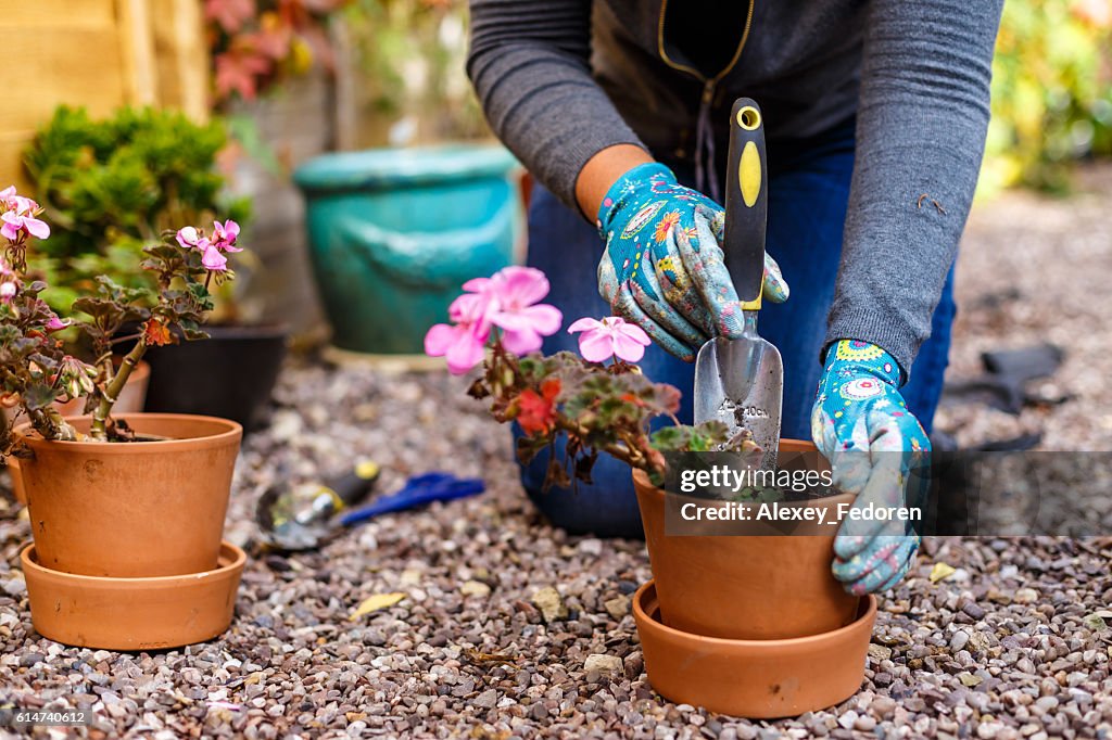 Woman gardening in the autumn