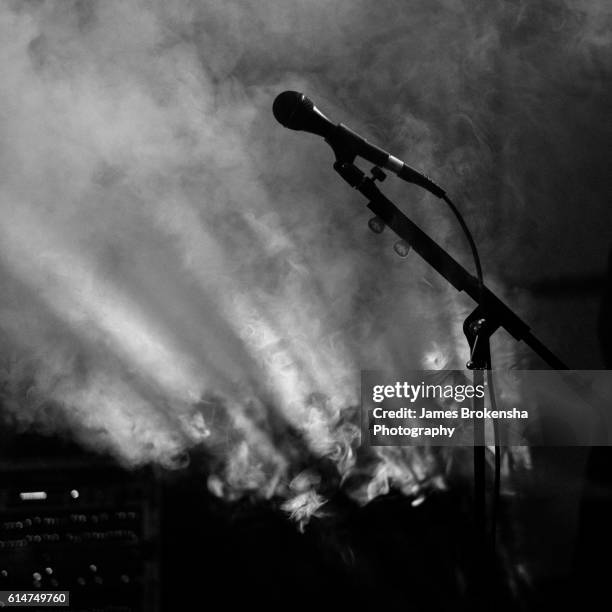 microphone - alternative rock stock-fotos und bilder