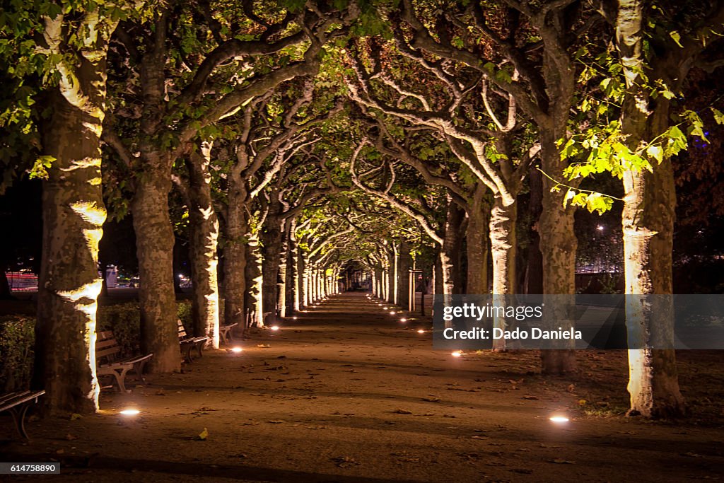 Frankfurt Park Illuminated