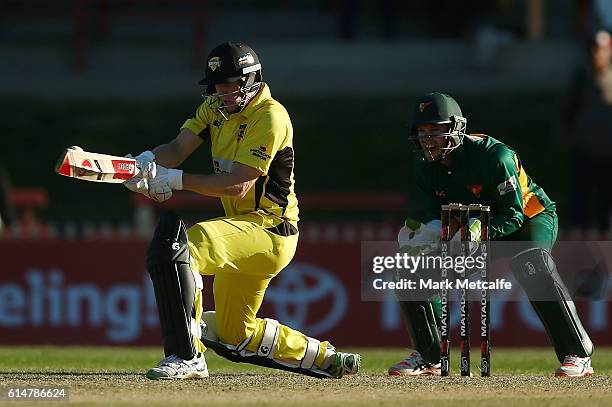 4,625 Matador Bbqs Cup Photos & High Res Pictures Getty Images