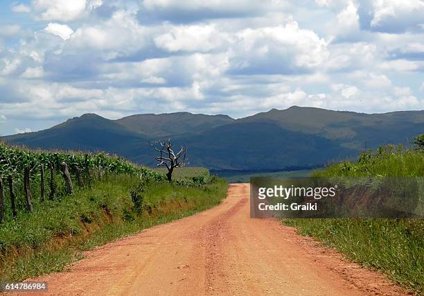 dirt road in minas gerais - brazil - serra da canastra national park stock pictures, royalty-free photos & images