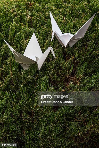 Origami Crane Couple - Origami is the Japanese word for paper folding. Ori means fold and gami means paper. It is the art of paper folding that has...