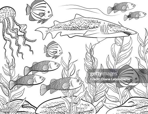 ilustraciones, imágenes clip art, dibujos animados e iconos de stock de escuela submarina de peces para adultos página del libro para colorear - medusa cnidario