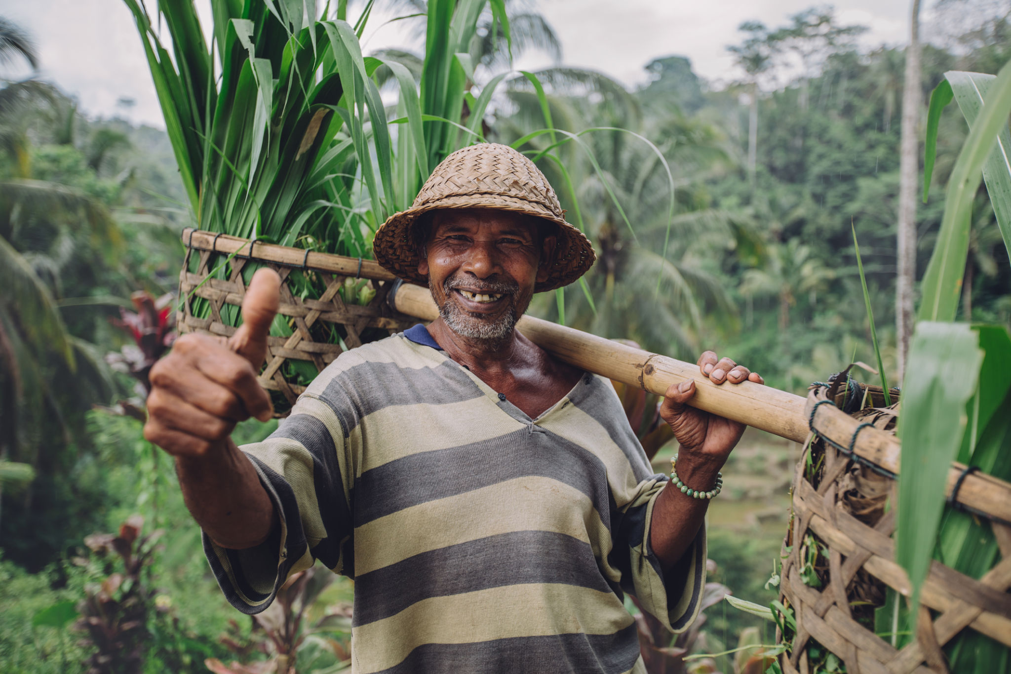 Happy senior farmer giving thumbs up in Bali, Indonesia with Baie Property Group Happy senior farmer giving thumbs up in Bali, Indonesia with Baie Property Group