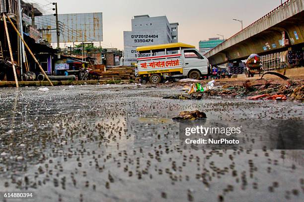 View of daily life in Dhaka city, B angladesh on 15 October 2016. Dhaka is a metropolitan city without decent sewerage system. The sewerage system is...