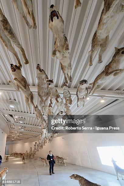 The work "Head On" of chinese artist Cai Guo Quiang insert in the exhibit "La Fine Del Mondo" by Curator Fabio Cavallucci for the Centro Pecci of...