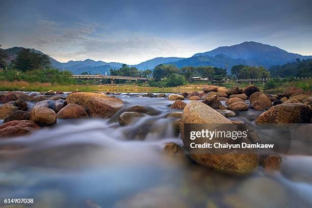 nature in khiriwong village - 社会主義インターナショナル ストックフォトと画像