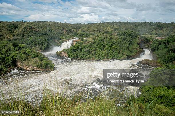 murchison falls national park - lake victoria stock-fotos und bilder