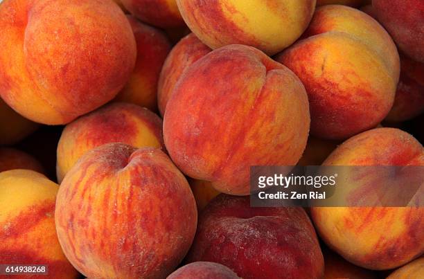 a heap of ripe peaches (prunus persica) close-up - もも ストックフォトと画像