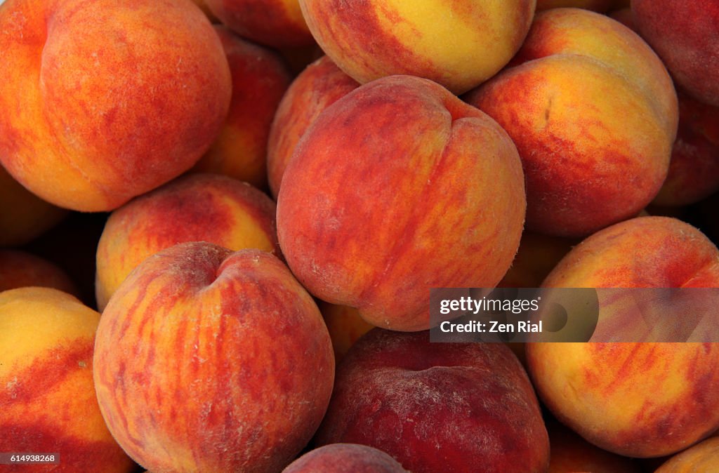 A heap of ripe Peaches (Prunus persica) close-up