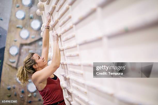 indoor climbing in the bouldering gym wall. - college athletics stock pictures, royalty-free photos & images