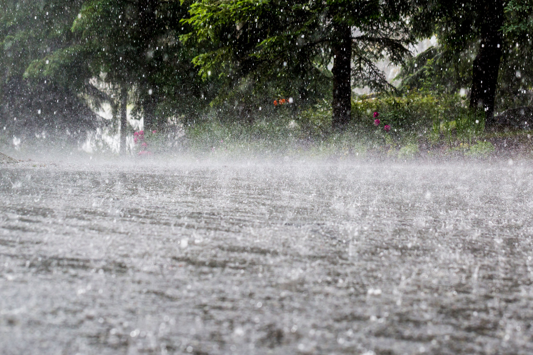 rainfall impact