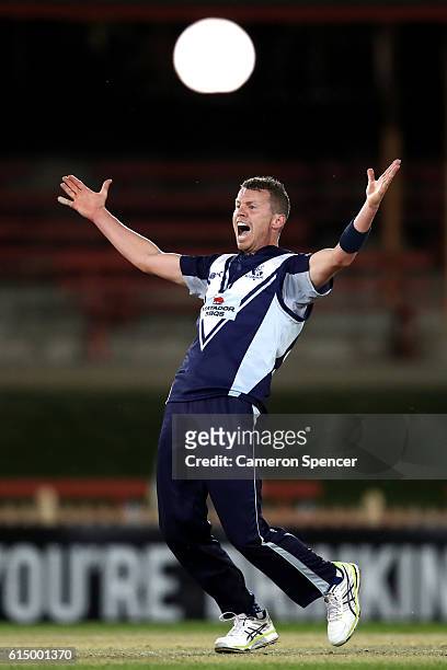 Peter Siddle of the Bushrangers appeals for a wicket during the Matador BBQs One Day Cup match between New South Wales and Victoria at North Sydney...