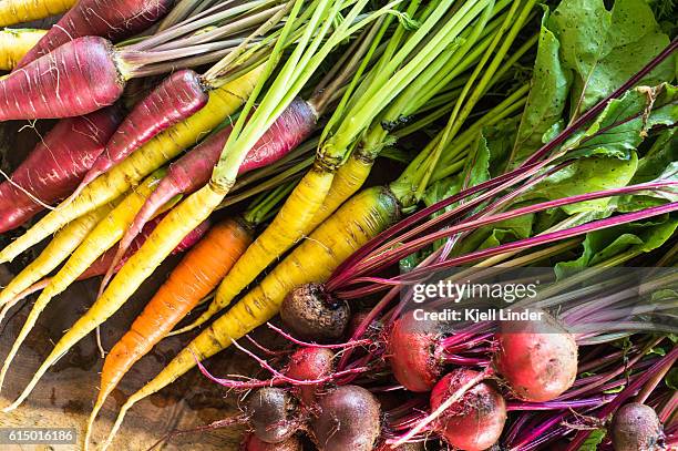 organic vegetables on table - organic farm 個照片及圖片檔