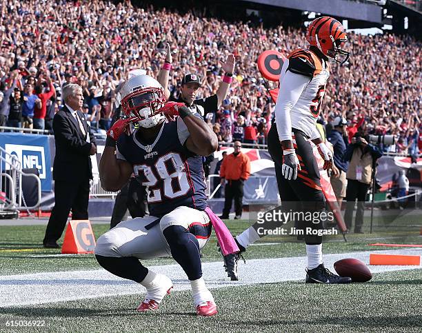 James White of the New England Patriots reacts after his touchdown against the Cincinnati Bengals in the second quarter at Gillette Stadium on...
