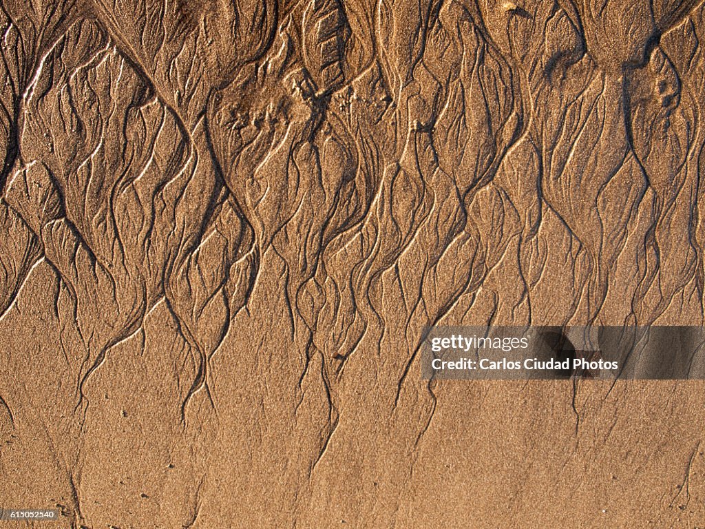 Tiny fractal landscape