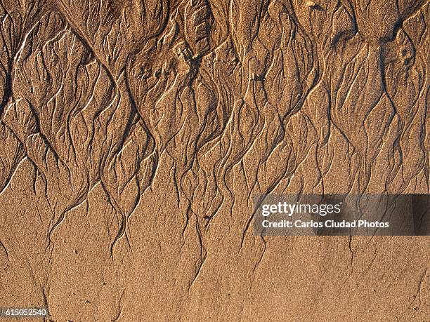 tiny fractal landscape - eroded stock pictures, royalty-free photos & images