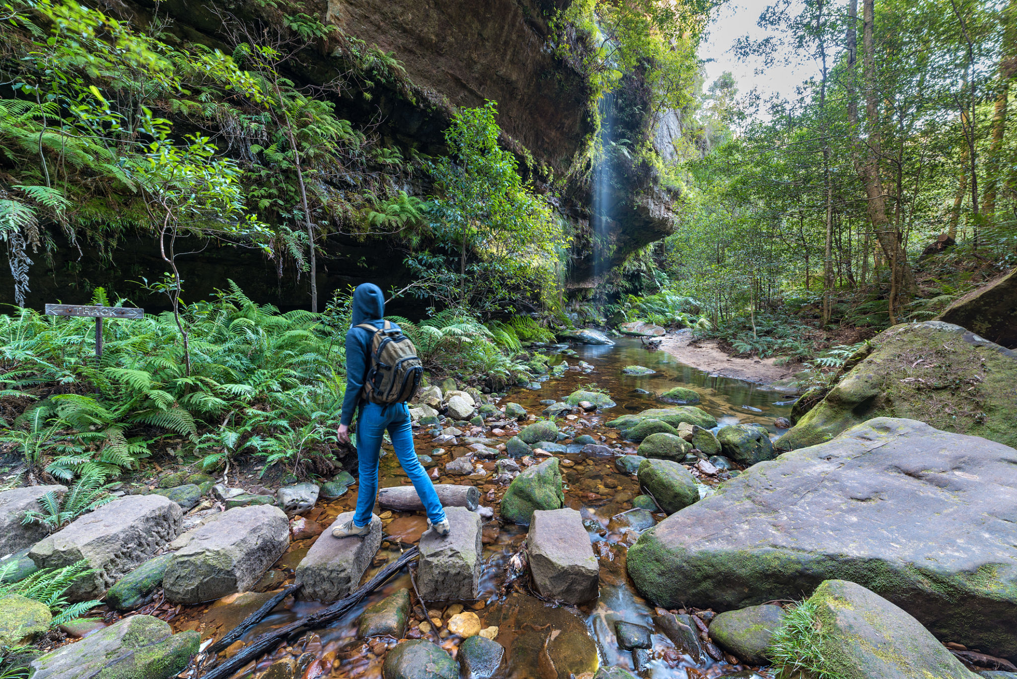 blue mountains hiking