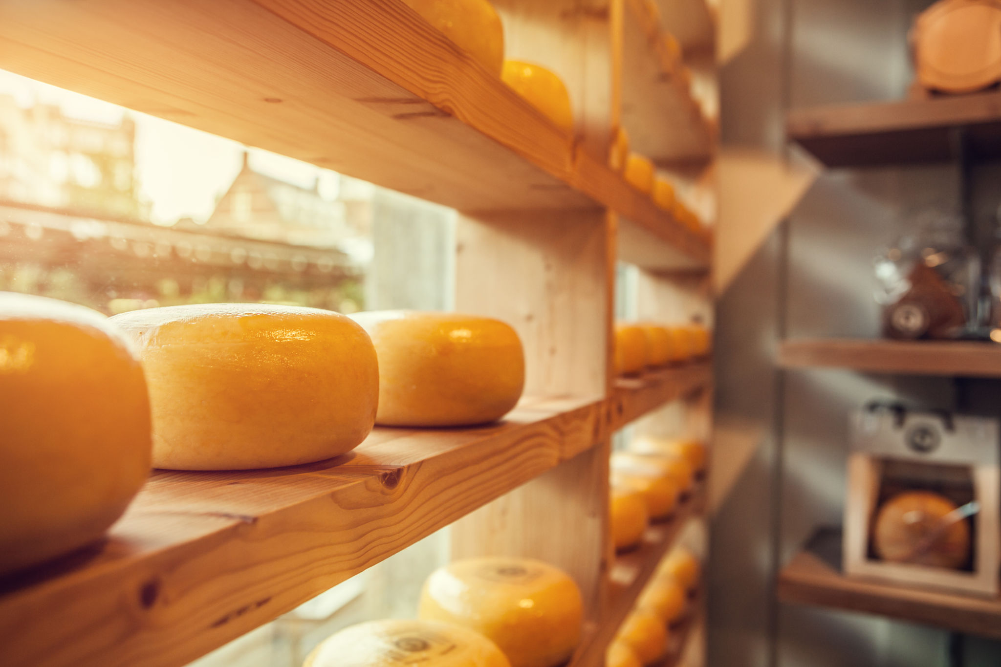 dutch cheese