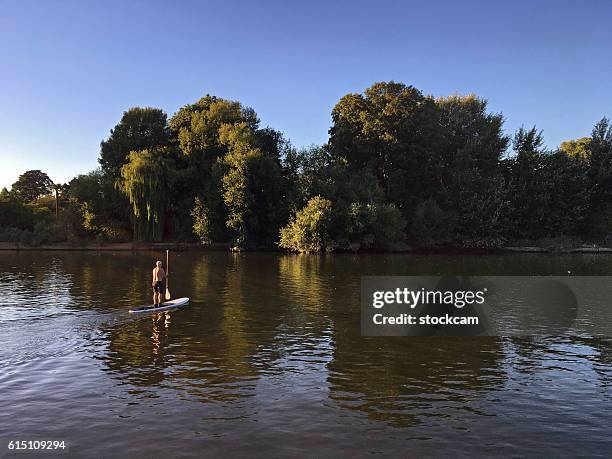 paddleboarding on river thames near richmond, uk - by the thames stock pictures, royalty-free photos & images