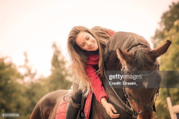 petting and loving a horse - dressage stock pictures, royalty-free photos & images