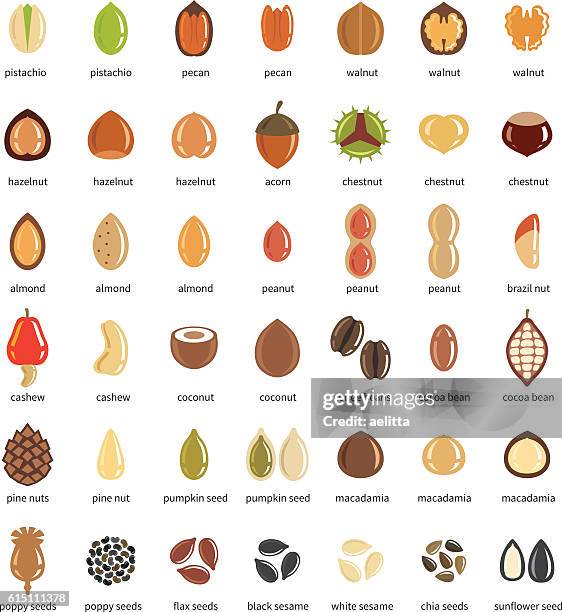 nuts and seeds icon set - tree flax stock illustrations