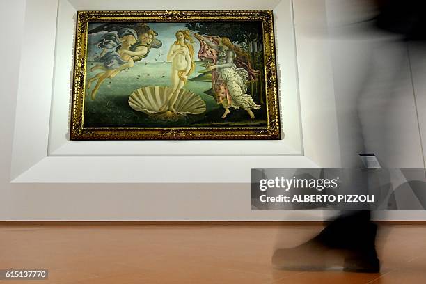 A visitor walks by "The birth of Venus" painted in the mid 1480s by Italian painter Sandro Botticelli during a press preview for the reopening of the...