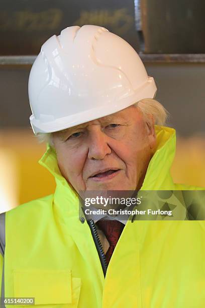 Naturalist Sir David Attenborough poses during the keel-laying ceremony of the new polar research ship for Britain, RRS Sir David Attenborough, which...
