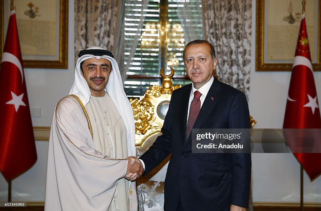 Foreign Minister of UAE Abdullah bin Zayed Al Nahyan in Istanbul