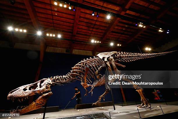 General view of the skull, jaw, rib cage and teeth of Trix the female T-Rex exhibition at the Naturalis or Natural History Museum of Leiden on...