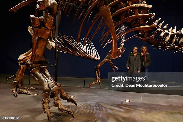 General view of Trix the female the T-Rex exhibition as vistors look on at the Naturalis or Natural History Museum of Leiden on October 17, 2016 in...