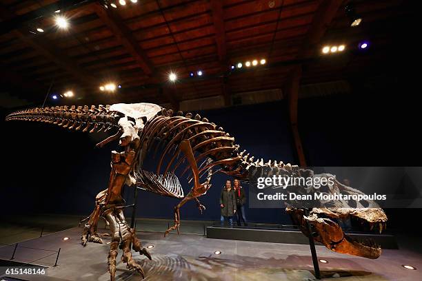 General view of the skull, jaw, rib cage and teeth of Trix the female T-Rex exhibition at the Naturalis or Natural History Museum of Leiden on...