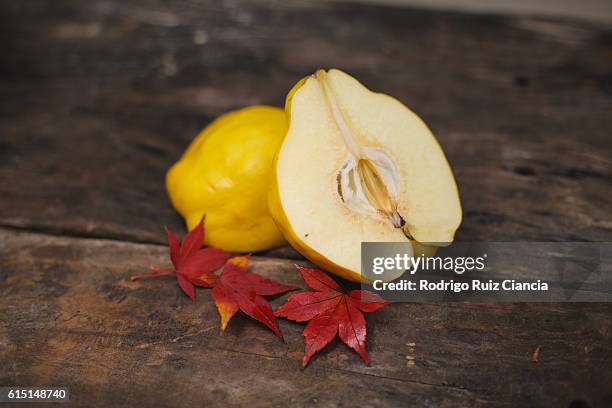 fresh quince - kweepeer stockfoto's en -beelden