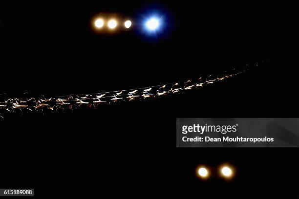 Detailed view of the tail of Trix the female T-Rex exhibition at the Naturalis or Natural History Museum of Leiden on October 17, 2016 in Leiden,...