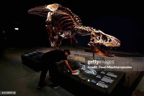 General view of the skull, jaw, tail, rib cage and teeth of Trix the female T-Rex exhibition at the Naturalis or Natural History Museum of Leiden on...