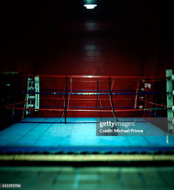 empty boxing ring - empty boxing ring foto e immagini stock