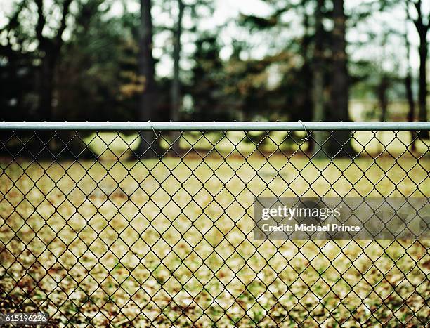 chain-link fence - rete metallica foto e immagini stock