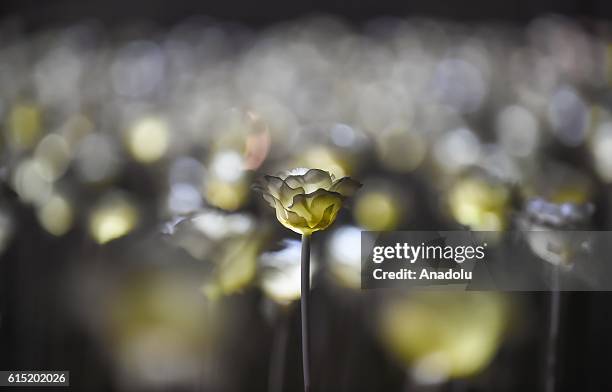 Art Installation Led Photos and Premium High Res Pictures - Getty Images