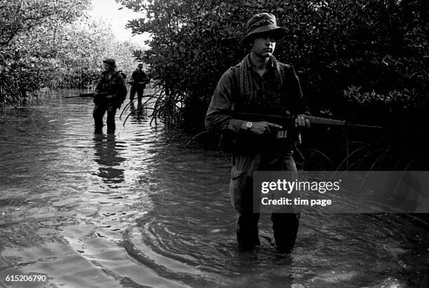 Three Australian soldiers wade through a mangrove swamp in the Saigon River estuary. Vietnam, 1966. | Location: Saigon River estuary, Vietnam.